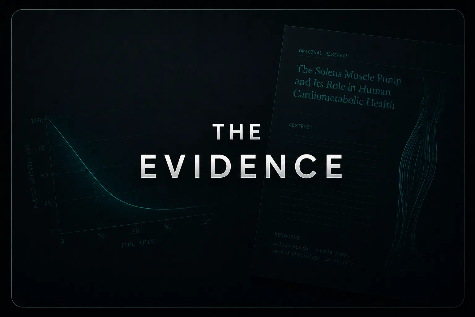 The Evidence